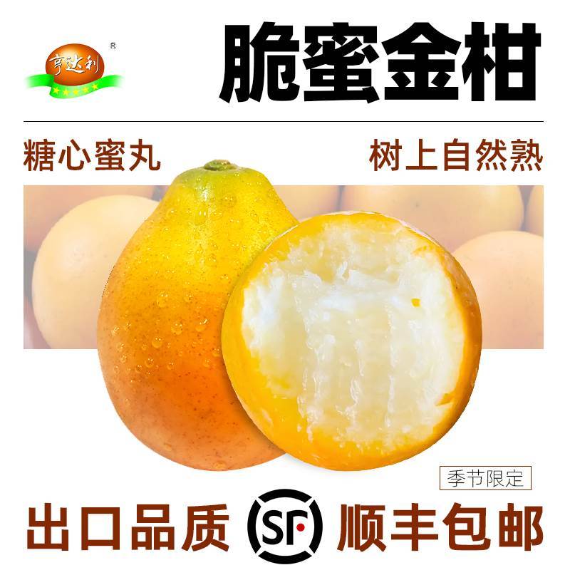 速发【蜜丰包邮】脆顺金柑纯甜橘子当季金桔新鲜水果无农残出口品