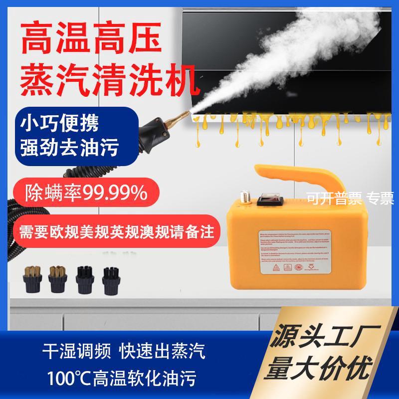 110V220V蒸汽清洁器高温高压蒸汽清洗抽油烟机空调清洗机设备