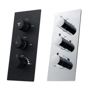 竖装花洒控制阀黑色恒温预埋开关两功能恒温混水阀HI14011B-2