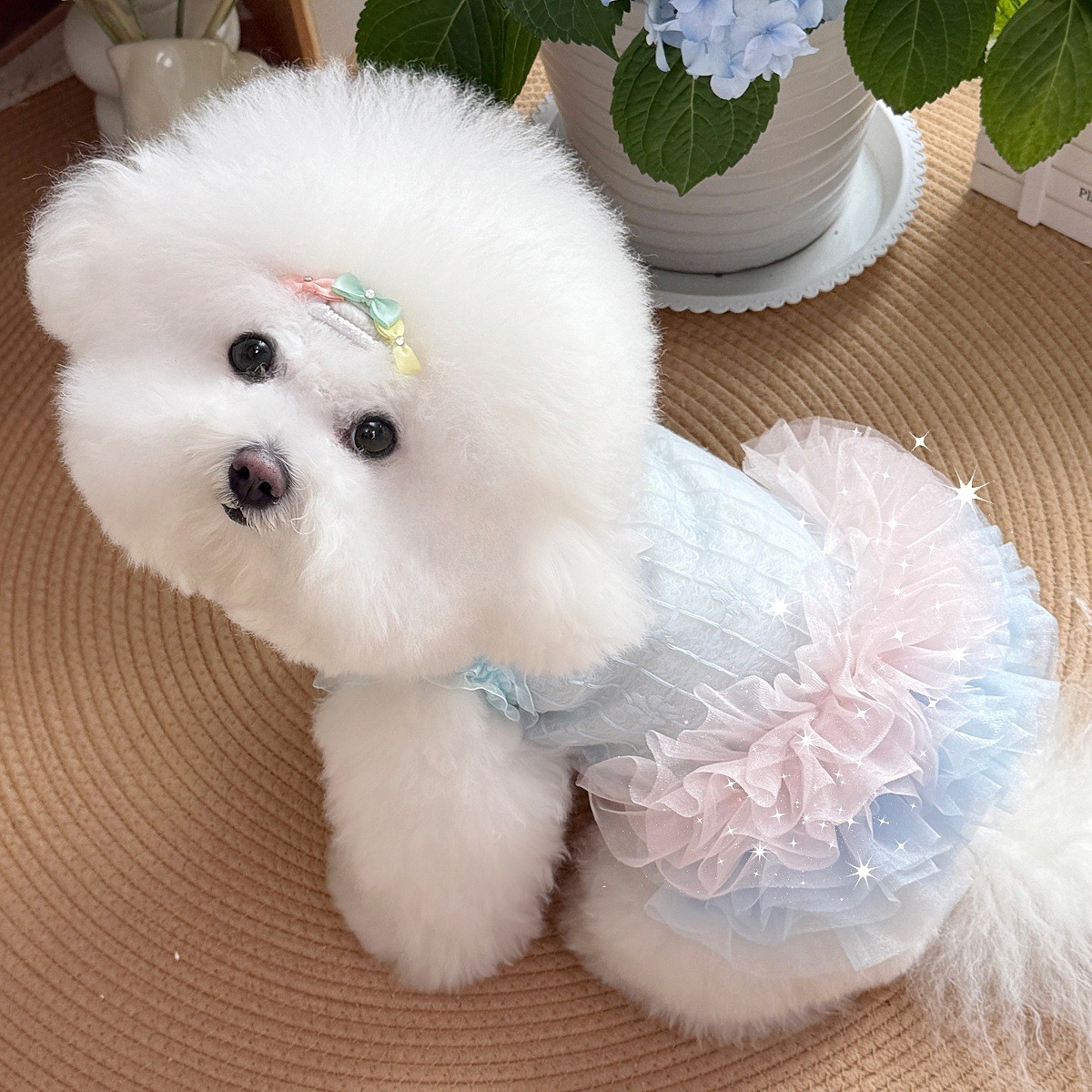 夏季新款宠物纱裙小型宠物服装比熊博美狗狗仙女裙宠物猫咪狗狗