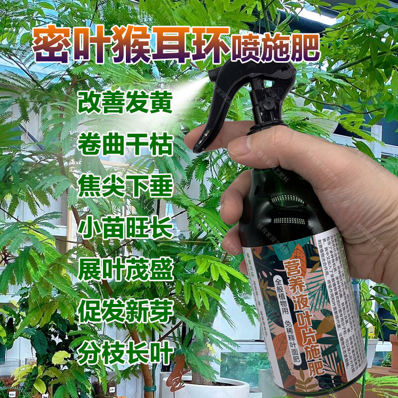 密叶猴耳环专用肥料营养液小苗旺长展叶茂盛促发新芽分枝长叶面肥