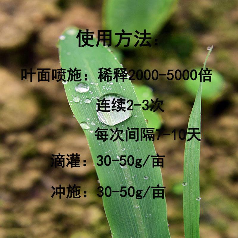 级螯合钛钛≥7%农业柠檬酸微量元素叶面肥中量元素叶面肥营养补充