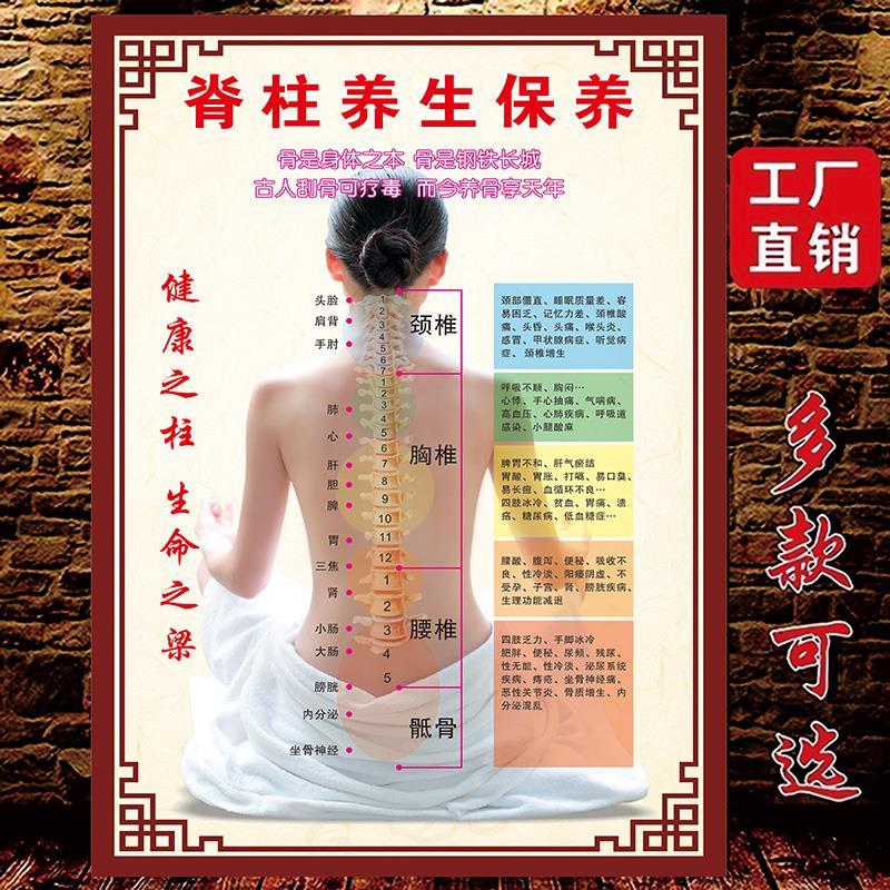 脊柱理疗中医养生馆背部经络疏通的好处挂图海报广告宣传