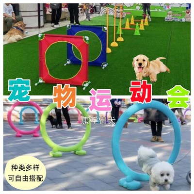 训犬器材狗狗障碍赛户外宠物敏捷训练器宠物运动会简易用品