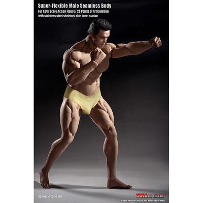 现货 TBLeague PHICEN M35 1/6 阿诺 钢骨强壮肌肉型包胶男素体