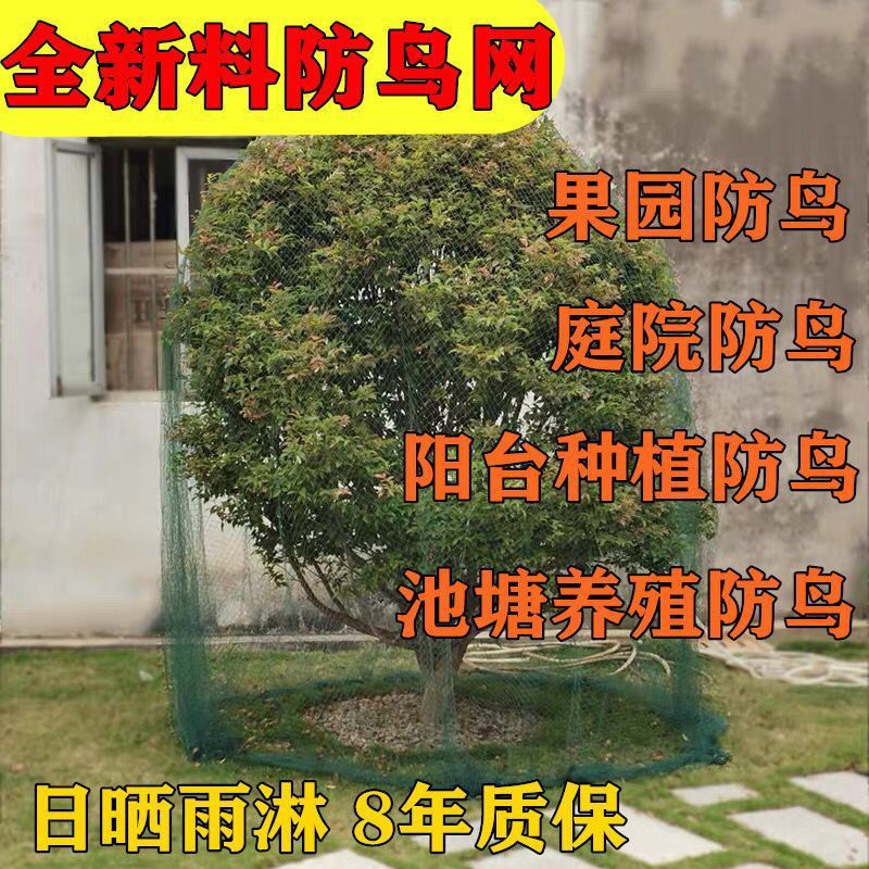 果园防鸟网养鸡网池塘养殖网果树爬藤网天网围网瓜果蔬菜防护裕康