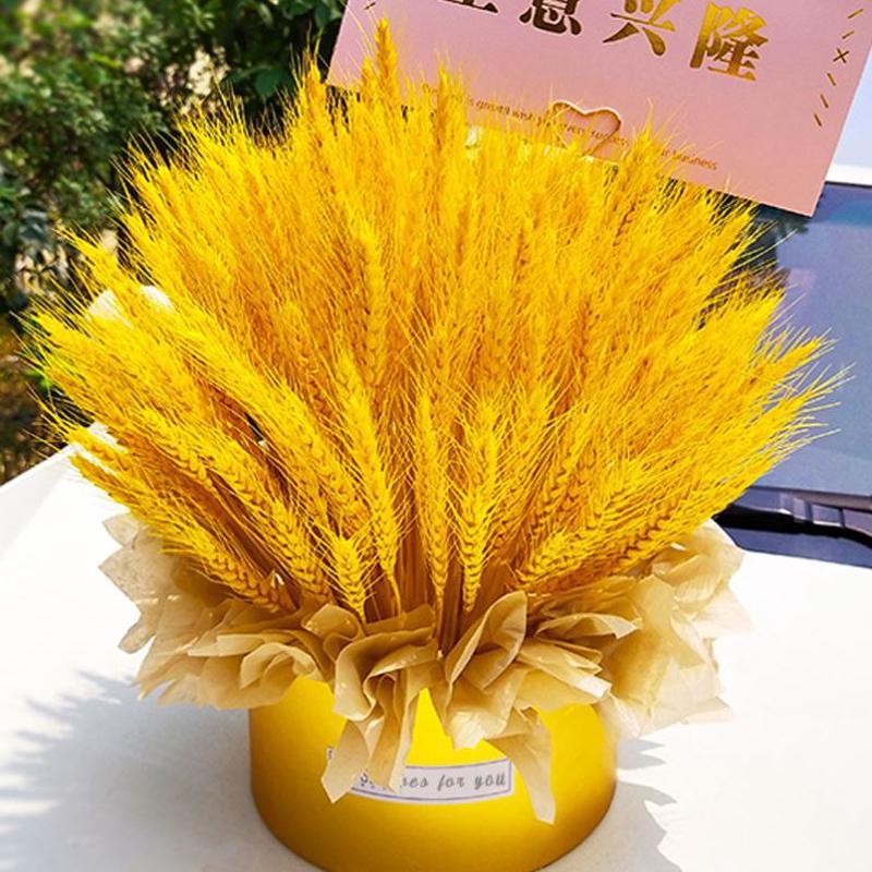 黄金麦穗客厅摆件干大麦花束装饰稻穗大卖开业花篮干花材手工厂家