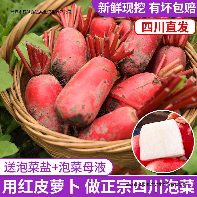 新货四川红皮萝卜8斤红色胭脂农家四川泡菜白心水罗卜红萝卜新鲜