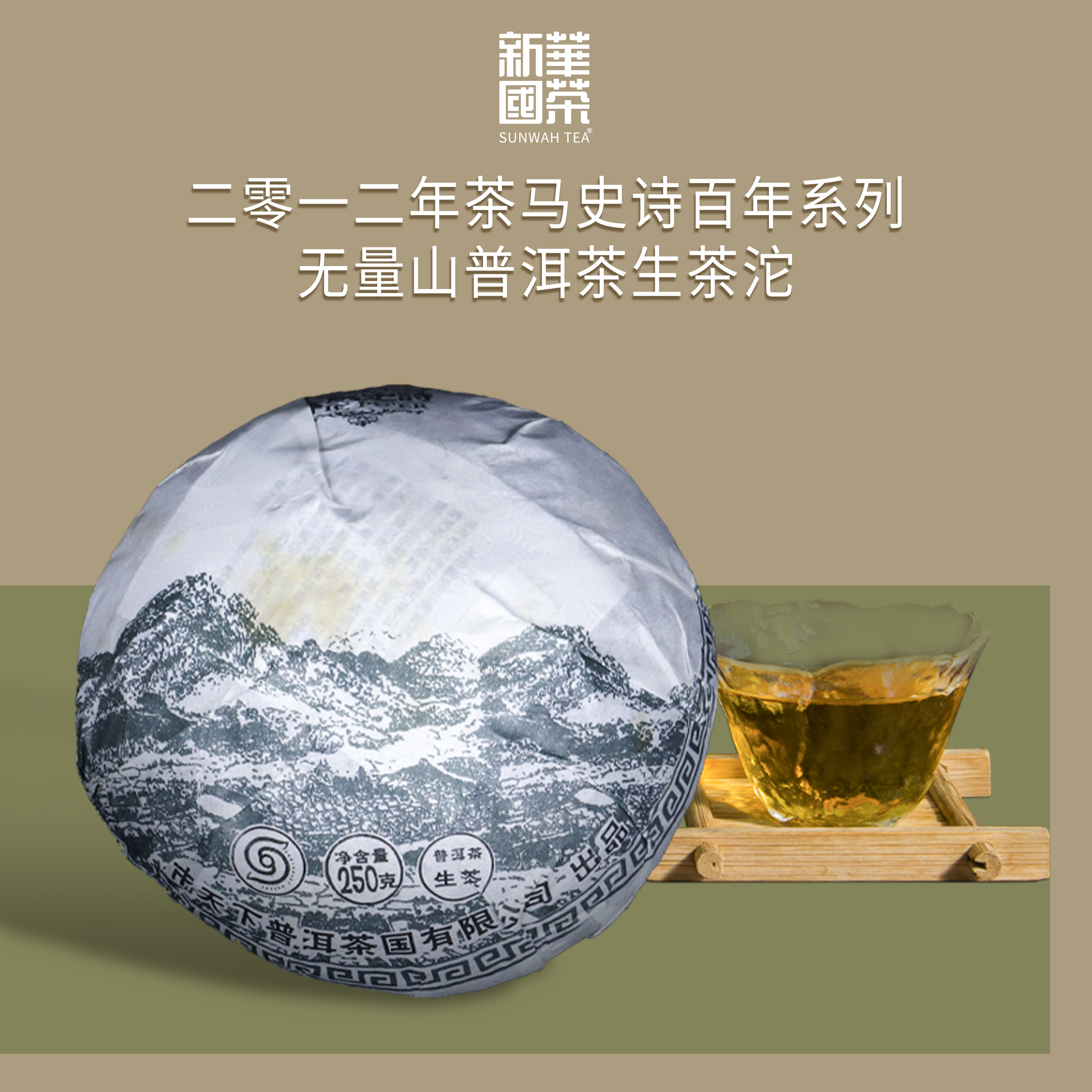 【新华国茶】2012年茶马史诗百年系列无量山普洱生茶沱茶250g