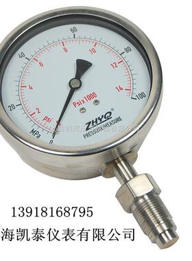 ZHYQ卫生型隔膜压力表 PT124Y-620-200MPA-M20-33mm 上海朝辉