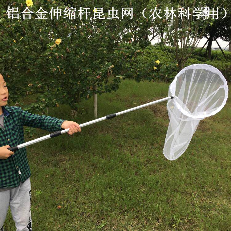 伸缩捕虫网 昆虫网 捉虫网 捕蝉蝴蝶蜻蜓昆虫捕捉网扫网农林科研