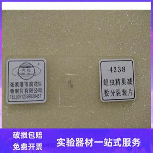 蝗虫精巢减数分裂装片教学仪器 张家港浪花30片以上送木盒