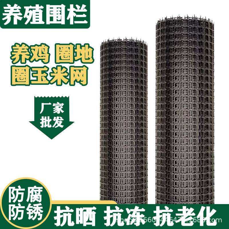 塑料隔离养殖网鱼塘河道防护黑色圈玉米围栏道路施工双向土工格栅