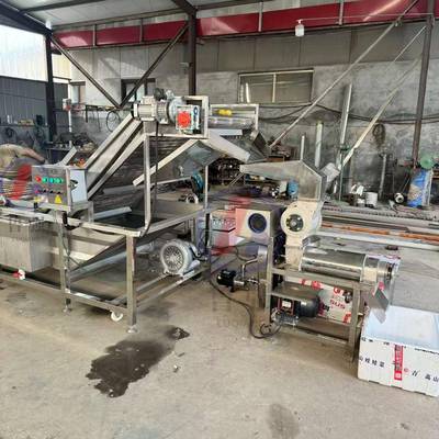 螺旋榨汁机供应胡萝卜打浆粉碎机大型果汁饮料设备