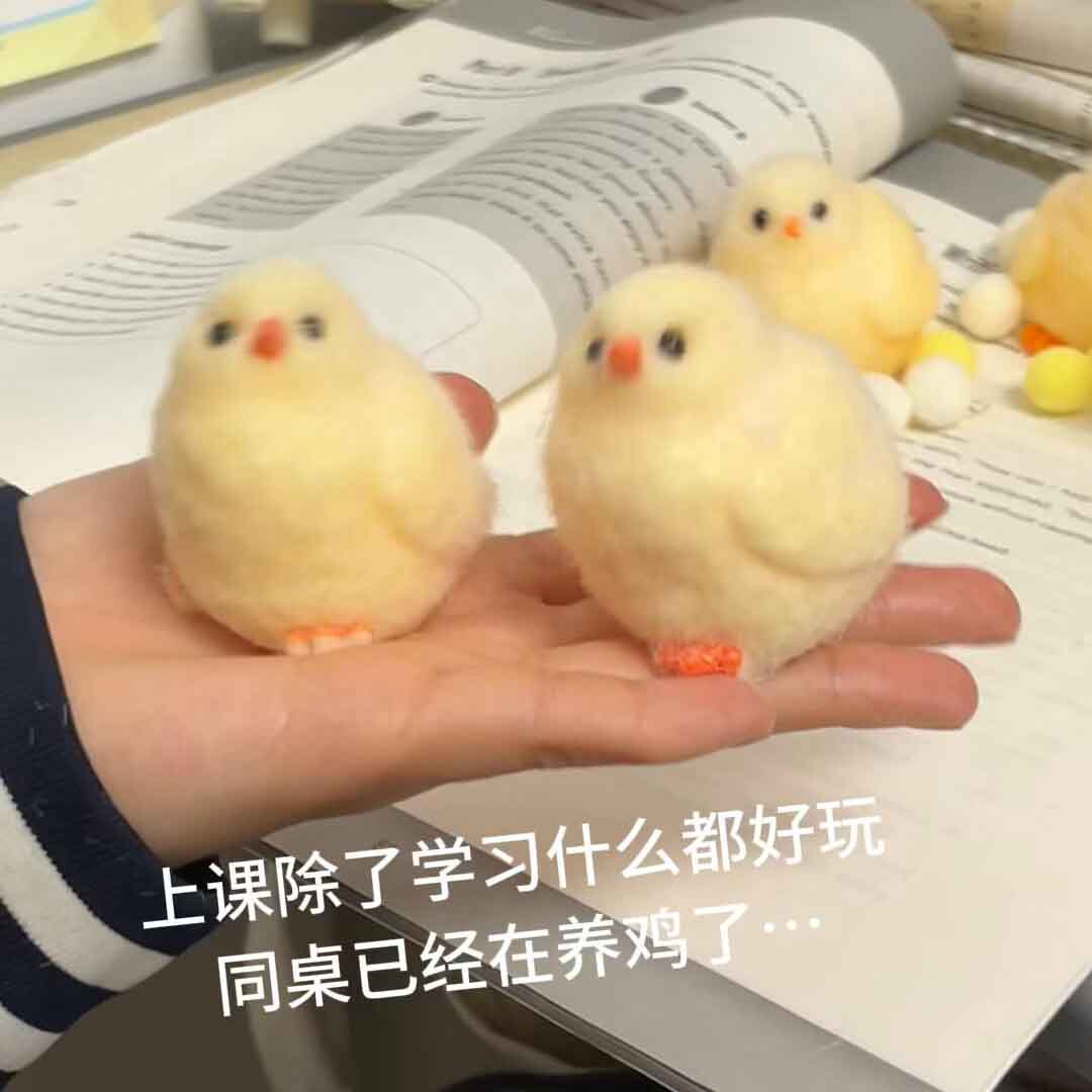 把小鸡仔养的白白胖胖捏捏乐