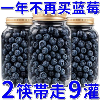 【孕妇儿童健康零食】原味蓝莓干无糖无添加东北土特产野生蓝梅干