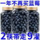 原味蓝莓干无糖无添加东北土特产野生蓝梅干 孕妇儿童健康零食