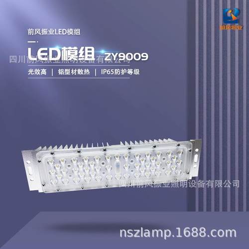 LED模组ZY9009路灯景观灯玉兰灯庭院灯维修替换中华灯光源