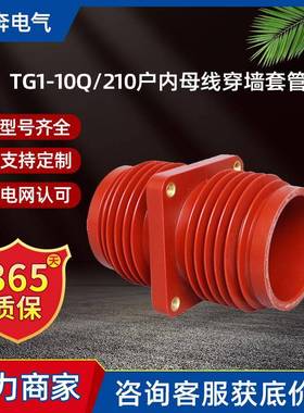 TG1-10Q/210.180.250.252户内母线穿墙套管125*125高压环网柜12KV
