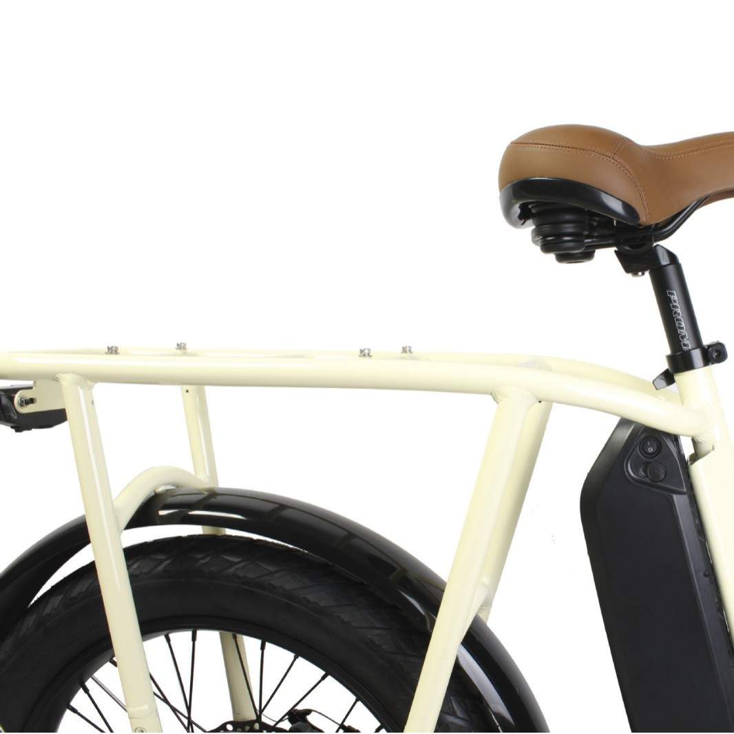 radrunner electric bike step through 电动自行车助力车电单车