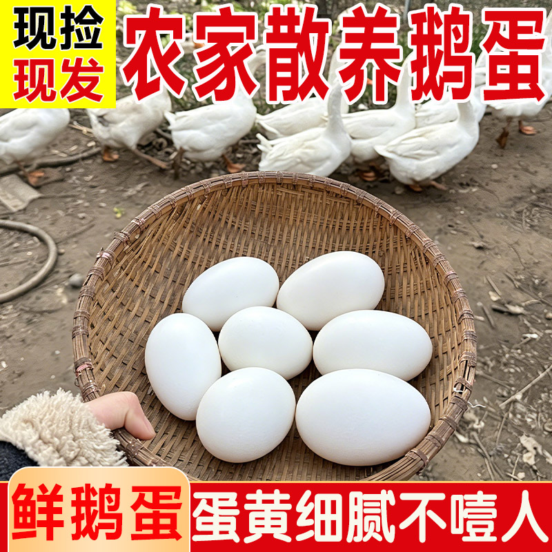 新鲜鹅蛋农家散养精挑细选