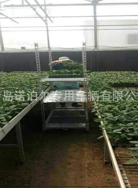 可移动育苗车 花架车grow seedings 荷兰花车  大棚育苗车