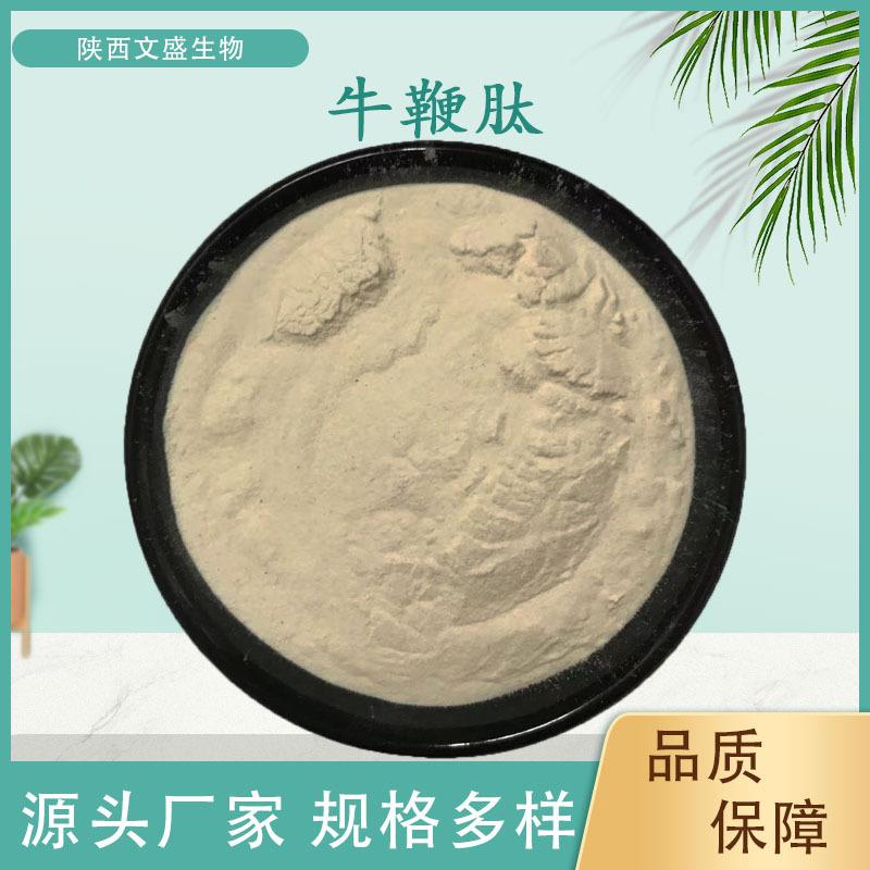 牛鞭肽文盛生物牛鞭肽粉小分子肽速溶牛鞭粉包邮水溶性脱味