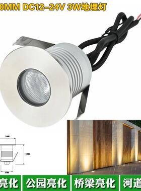 户外防水LED迷你小地埋灯50MM大3W3000K低压DC12V24V公园别墅地灯