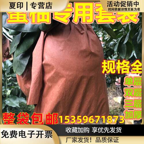 包柚子套袋专用袋蜜柚保护套包柚子芒果袋子防虫保护袋三红柚纸袋