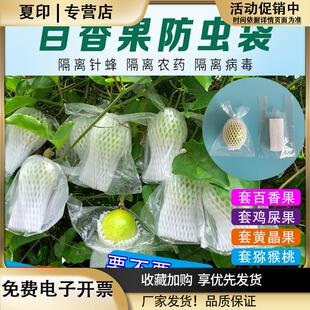 水果保护袋百香果防针蜂防虫袋小香番石榴套袋黄晶梨青枣柠檬套袋