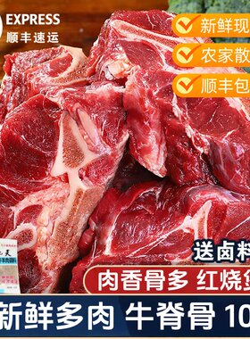 内蒙古原肉原切满肉牛脊骨