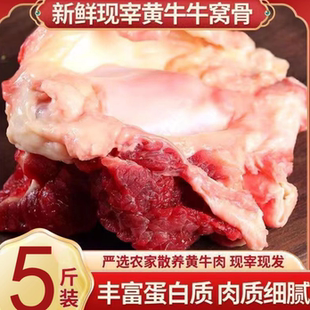 内蒙古牛窝骨新鲜多筋多肉牛膝盖骨散养黄牛牛肉新鲜红烧大骨头