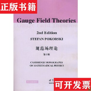 规范场理论：Gauge Field Theory 波考斯基著世界图书出版 现货 波兰 公司 正版