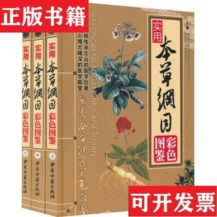 实用本草纲目彩色图鉴 上中下册 全三册 韦桂宁主编中医古籍出版 现货 3本合售路军章 社 正版