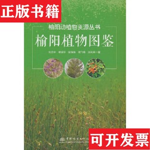 榆阳动植物资源丛书张利平著；刘忠华；柳培华；徐瑞瑞；周飞梅中国林业出版 榆阳植物图鉴 现货 社 正版