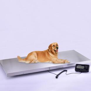 博傲150kg200kg300kg便携式电子显示宠物电子台秤