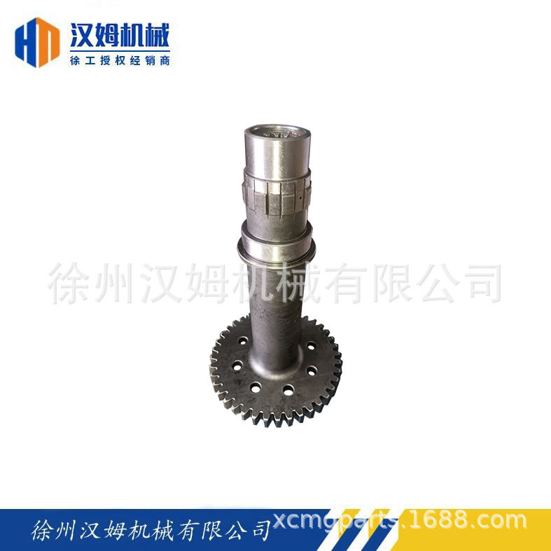 徐工装载机860165323 2BS315A(D).30-1A工作泵轴齿轮(272200748)R