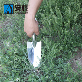 铲子 安藤 小铲子花园铲园艺铲园林工具 611B 花铲 602B