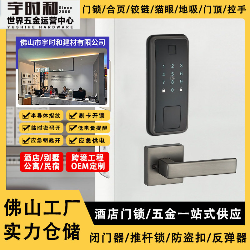 美式涂鸦指纹密码刷卡智能门锁