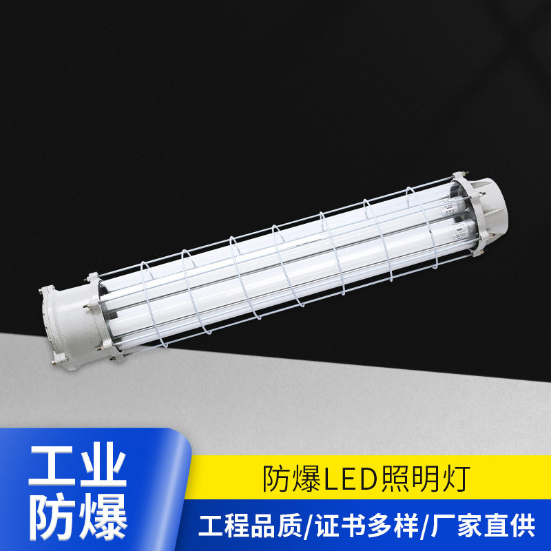 防爆LED应急照明灯单双管