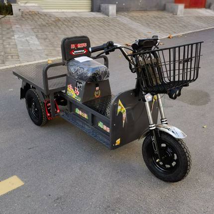 新款载重王加宽大小巧型长跑载货拉货快递平板三轮电动电瓶车