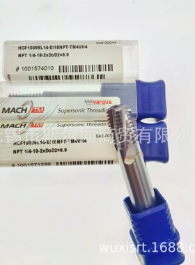 瓦格斯铣刀HCF10099L14-EI18NPTTM4VH4