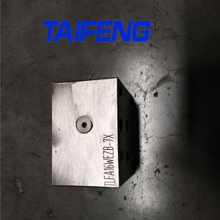 泰丰供应TLFA 032 WEZB -7X 型盖板厂家直销