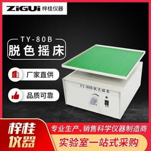 TY80BTY S脱色摇床凝胶染色脱色凝胶固定脱色摇床 80A