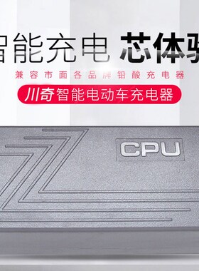 豪进电动车c充电器48V60V64V72V32Ah80V84V96V20Ah两孔公插安全头