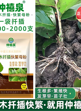 植物通用扦插生根粉强力母粉苗木插枝高压嫁接快速发根育苗营养液