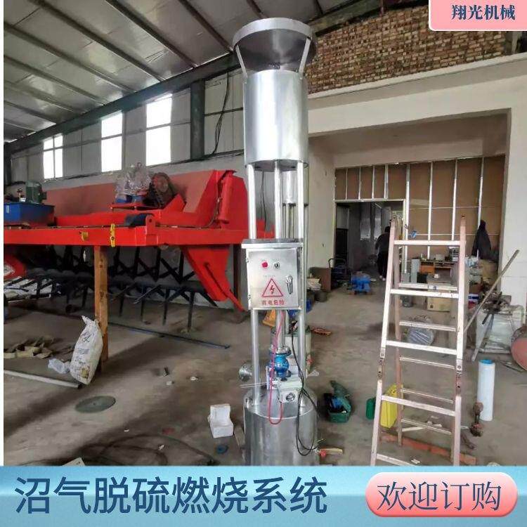 沼气燃烧火炬销售 翔光厂家 气压控制自动化外燃火炬