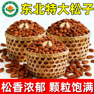 新货东北松子500g开口手剥坚果松树籽颗粒非特级批发坚果零食松子