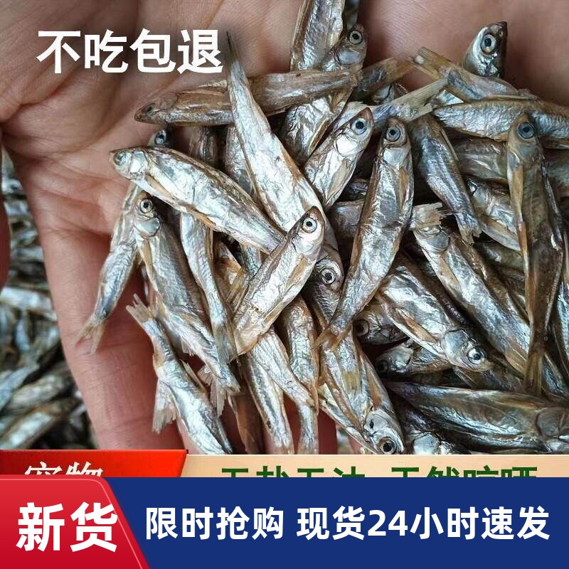 宠物零食淡水无盐小鱼干晒干小白条鱼干猫咪零食猫吃鱼干乌龟粮食