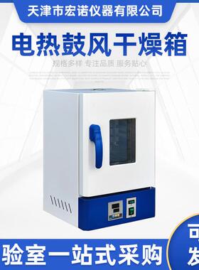 电热恒温鼓风干燥箱高温小型工业烘箱烤箱实验室烘干机试验箱